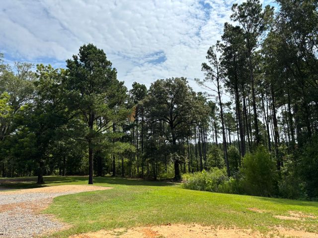 795 Ouachita 12, Chidester, AR 71726