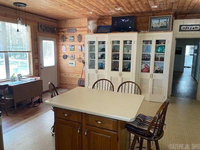 795 Ouachita 12, Chidester, AR 71726