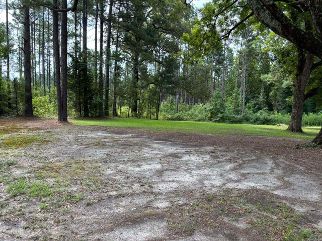 795 Ouachita 12, Chidester, AR 71726