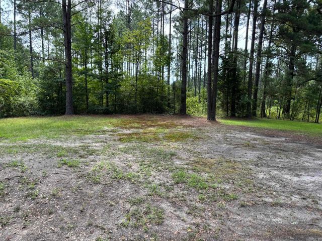 795 Ouachita 12, Chidester, AR 71726