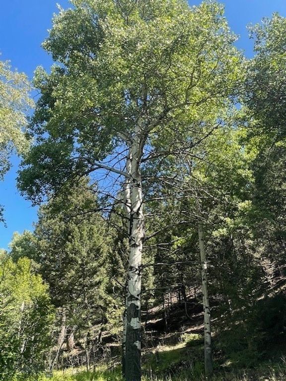 TBD XL Heights Road, Butte, MT 59701 photo 9