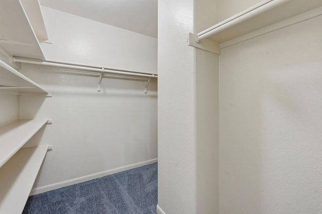 1715 Colorado Bend DR, Cedar Park, TX 78613