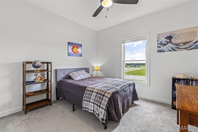 733 Magnolia Drive, Farmington, MO 63640