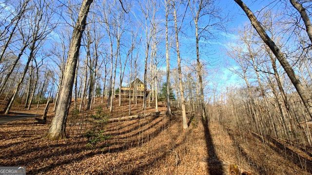 236 Grace Drive, Blue Ridge, GA 30513