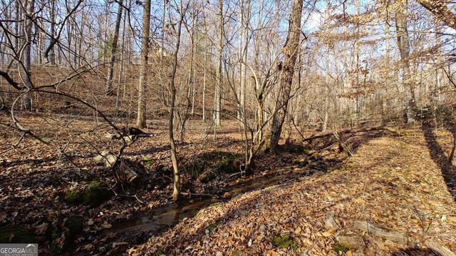 236 Grace Drive, Blue Ridge, GA 30513
