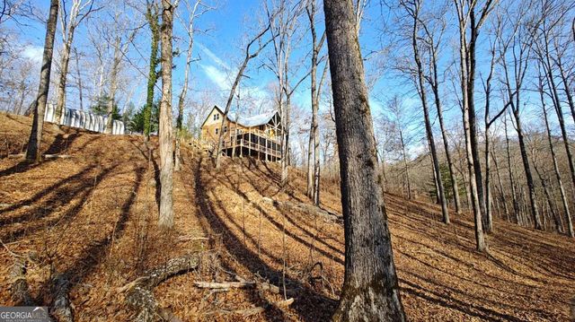 236 Grace Drive, Blue Ridge, GA 30513