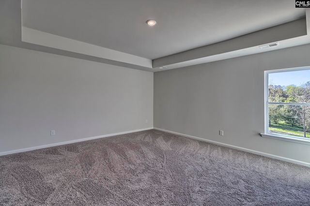 151 Calm Citadel Drive, Pelion, SC 29123