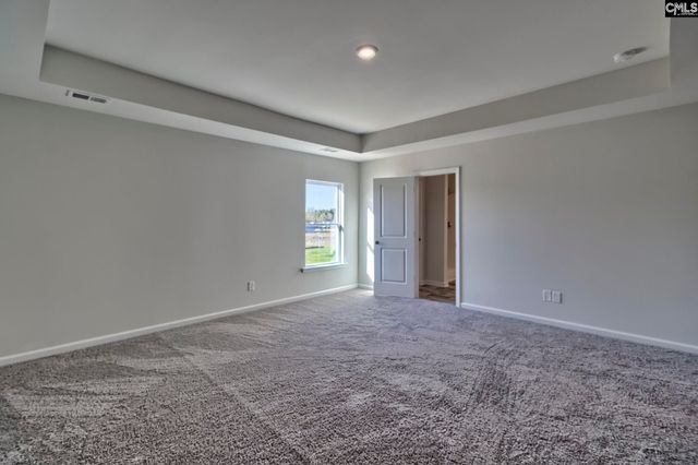 151 Calm Citadel Drive, Pelion, SC 29123