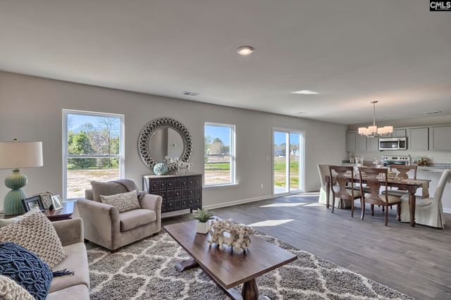 151 Calm Citadel Drive, Pelion, SC 29123