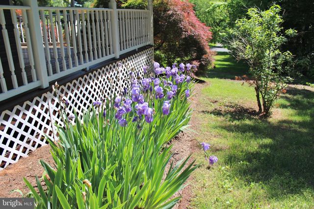 4011 GYPSUM HILL RD, Haymarket, VA 20169