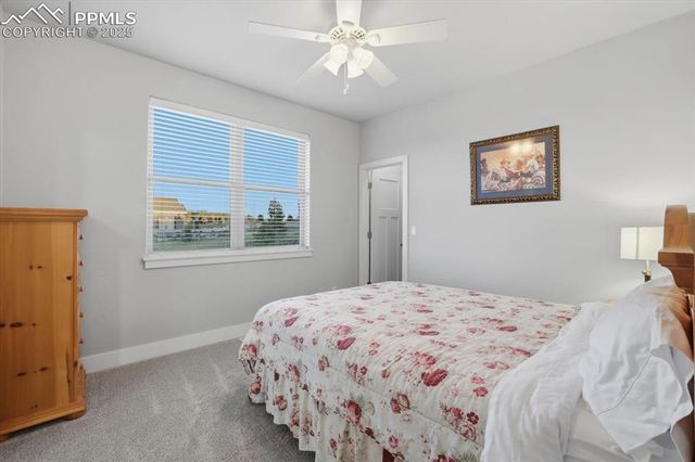 4016 Needles Drive, Monument, CO 80132