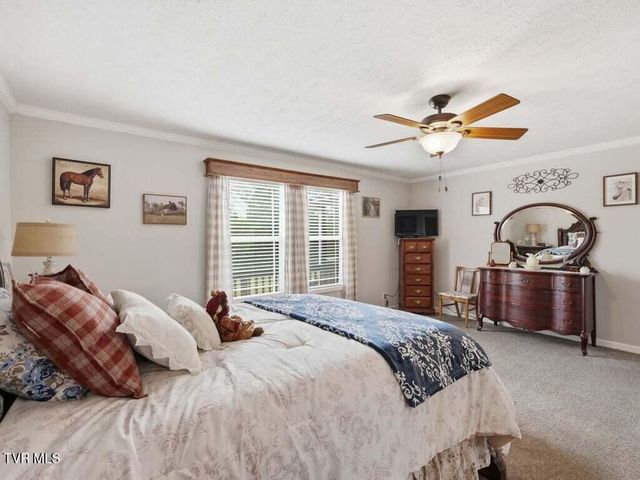 350 107 Cutoff, Afton, TN 37616