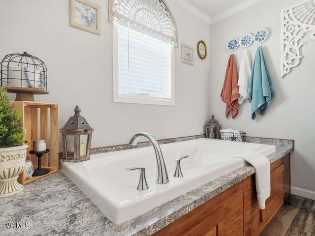 350 107 Cutoff, Afton, TN 37616