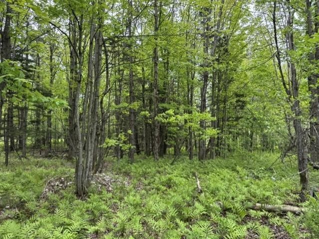 200 Coits Gore Road, Bakersfield, VT 05441