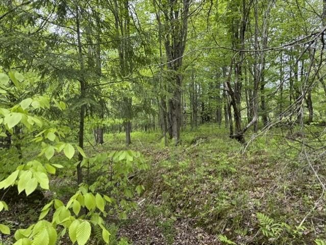 200 Coits Gore Road, Bakersfield, VT 05441