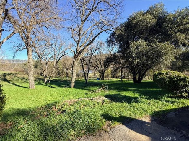 50155 Hangtree, Oakhurst, CA 93644