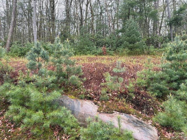 39 Hartung Road, Highland Lake, NY 12743