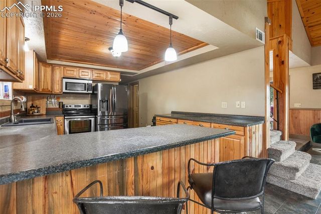 13599 County Road 1, Florissant, CO 80816