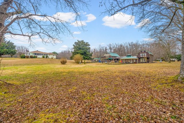 369 Holiday Acres Dr, Springville, TN 38256