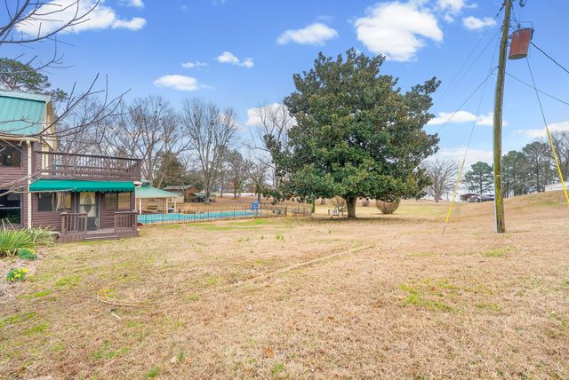 369 Holiday Acres Dr, Springville, TN 38256