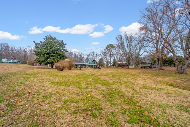 369 Holiday Acres Dr, Springville, TN 38256