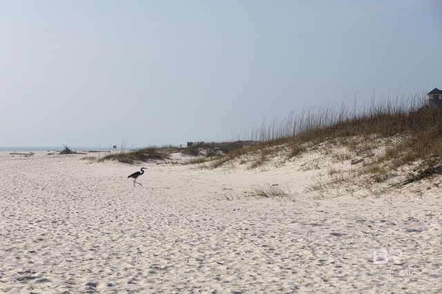 453 Dune Drive 110, Gulf Shores, AL 36542
