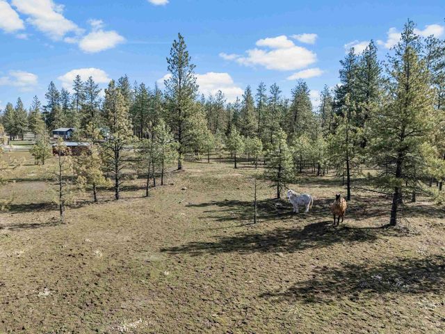 24315 S Columbia Basin Hwy, Cheney, WA 99004