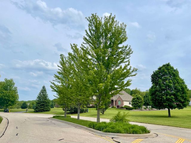 7393 English Oak Lane, Spring Grove, IL 60081