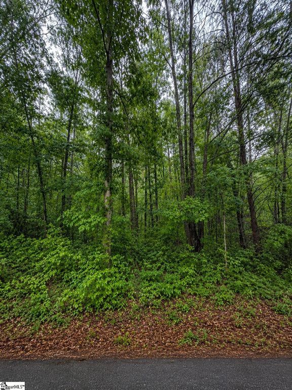 00 Valley Road lot 1, Travelers Rest, SC 29690
