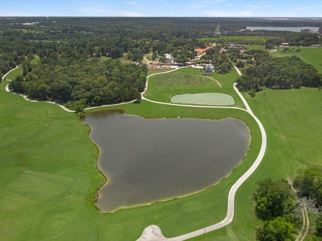 10014 Larkin Cove, Willis, TX 77318