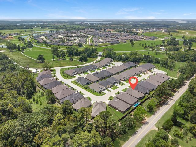 10014 Larkin Cove, Willis, TX 77318
