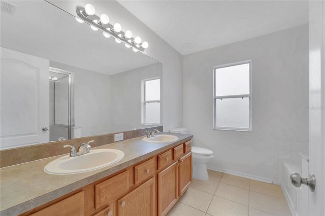 11228 MADISON PARK DRIVE, Tampa, FL 33625
