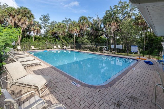 613 WHEATON TRENT PLACE, Tampa, FL 33619