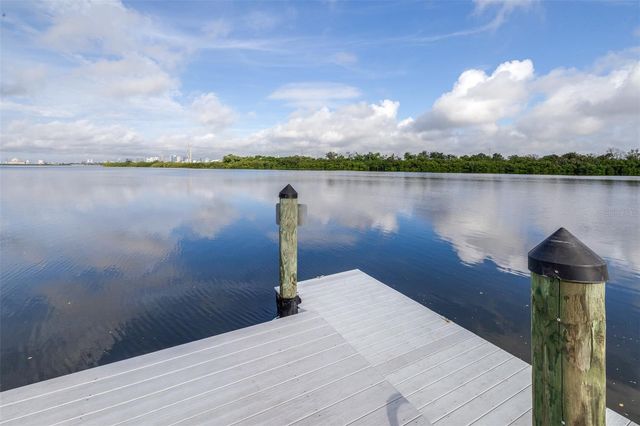 613 WHEATON TRENT PLACE, Tampa, FL 33619