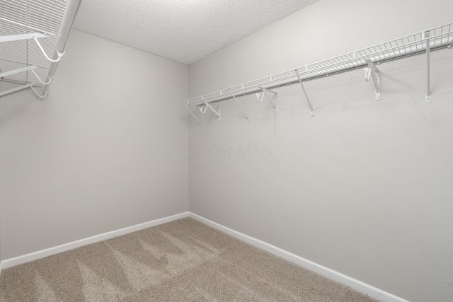 3655 Dinsmore Castle Drive, Columbus, OH 43221