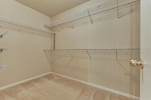 13001 Victoria Regina Drive, Montgomery, TX 77356