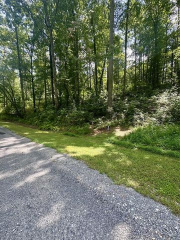 Lt 43 Hilton Drive, Ellijay, GA 30540