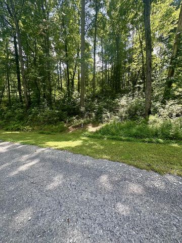Lt 43 Hilton Drive, Ellijay, GA 30540
