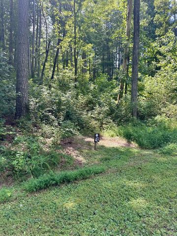Lt 43 Hilton Drive, Ellijay, GA 30540