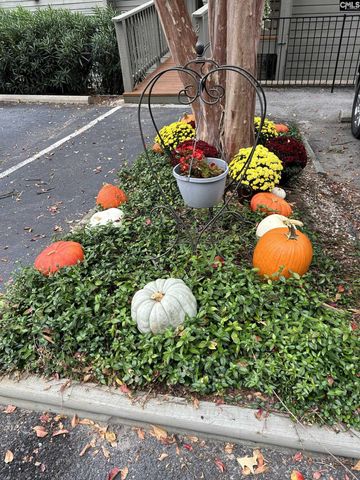 1441 Old Chapin Road 212, Lexington, SC 29072