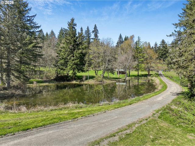 18617 Ne 399TH St, Amboy, WA 98601