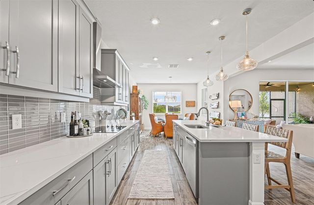 20380 SYMPHONY PLACE, Venice, FL 34293