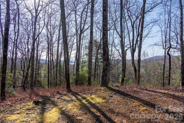TRP 1 Cardinal Drive W, Lake Toxaway, NC 28747