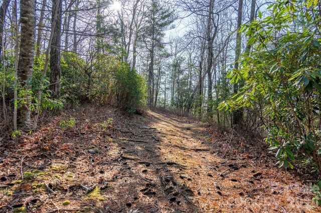TRP 1 Cardinal Drive W, Lake Toxaway, NC 28747