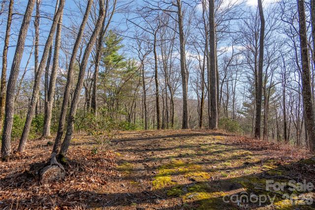 TRP 1 Cardinal Drive W, Lake Toxaway, NC 28747