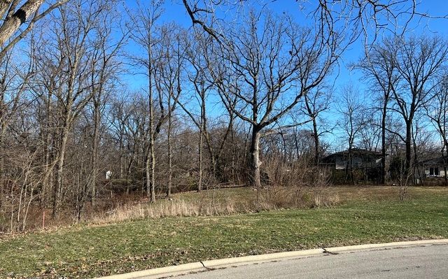 16961 Forest Glen Drive, Tinley Park, IL 60477