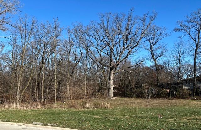 16961 Forest Glen Drive, Tinley Park, IL 60477