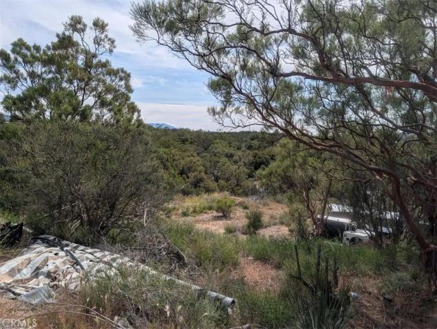 37120 Woodview, Anza, CA 92539