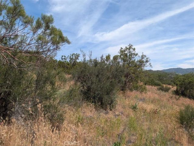 37120 Woodview, Anza, CA 92539
