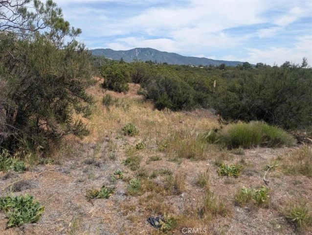 37120 Woodview, Anza, CA 92539